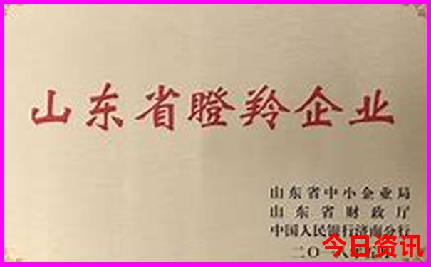 中国公认美女城市排行